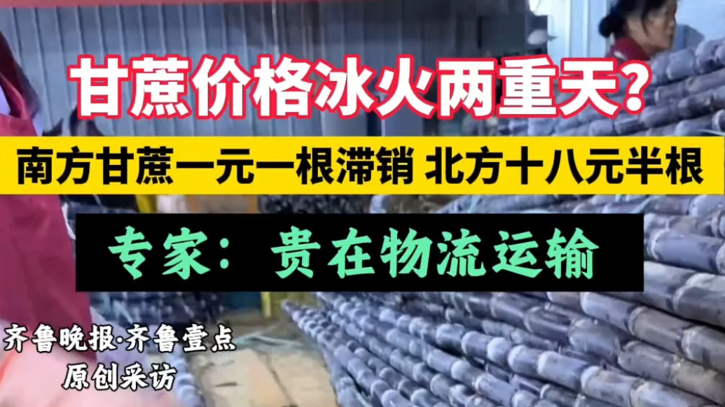 果然视频｜甘蔗价格冰火两重天？南方一元一根，北方18元半根