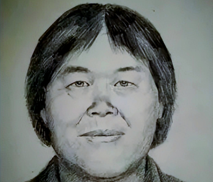 3月21日，记者从广州市公安局了解到，经警方不懈努力，“张维平等人拐卖儿童案”取得重大进展，犯罪嫌疑人谢某某（女）落网，其即为该案关键人物“梅姨”。