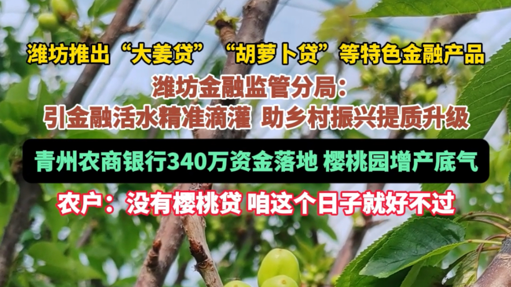 果然视频|精准滴灌“土特产”，潍坊创新特色贷款产品18个
