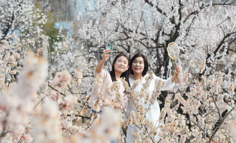 春装可以登场了！北方多地气温将创新高