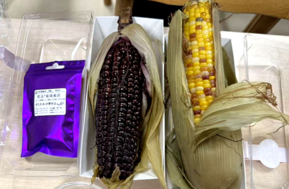 一周农讯速览｜烟台栖霞田间农技课推动苹果产业多元升级；济南抢抓农时布局鲜食玉米产业