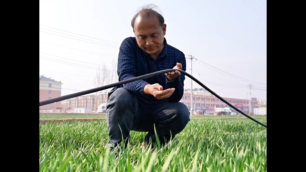 从“大水漫灌”到“精准滴灌”，德州绿色农业智灌节水增效创标杆