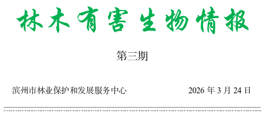 林木有害生物情报（二）|滨州市春尺蠖进入幼虫孵化期