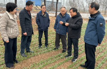 山东农业大学老科协专家赴多地开展小麦春季田间管理技术指导