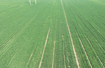 山东省春季农业生产暨高标准农田建设现场会议召开