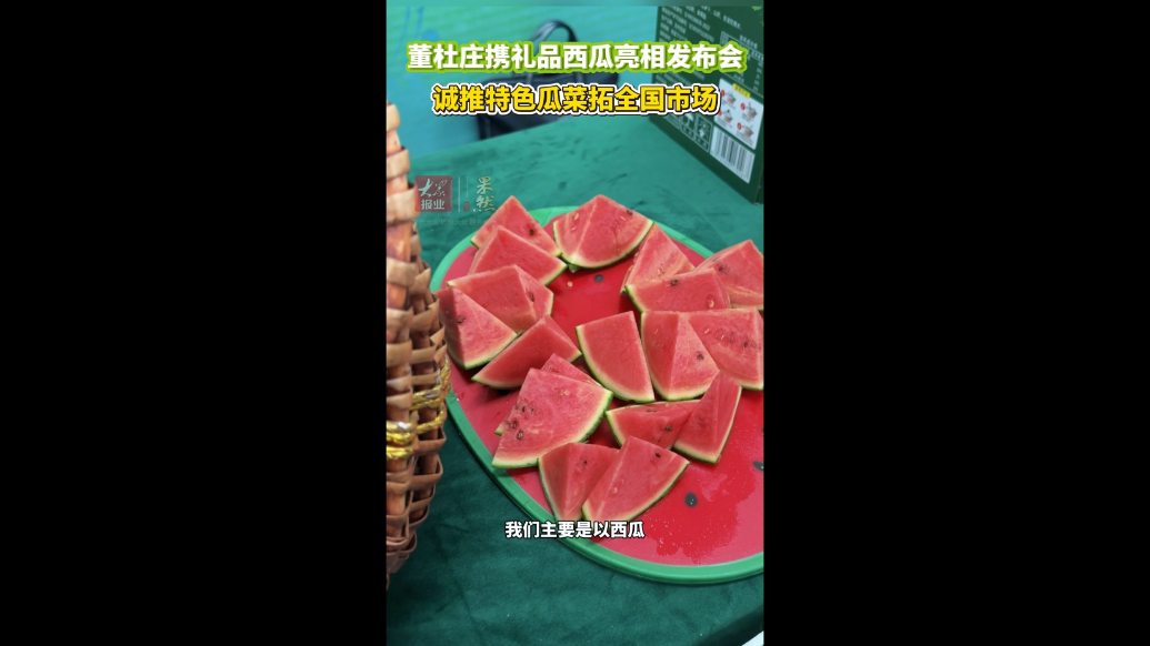 莘县董杜庄携礼品西瓜亮相发布会，诚推特色瓜菜拓全国市场