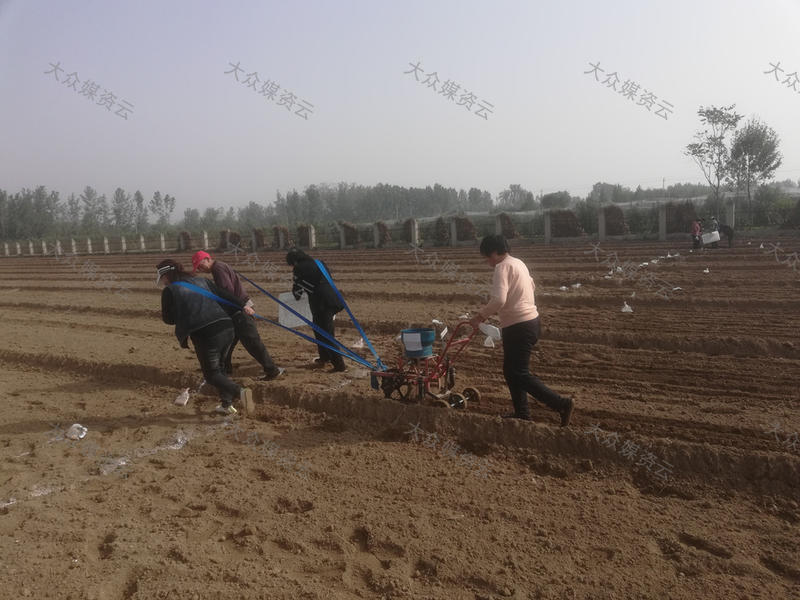 工行枣庄分行深入树立和践行正确政绩观的金融实践