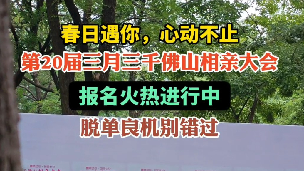果然视频|春日遇你，心动不止！快报名千佛山相亲会邂逅你的TA