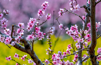 壹点日历3.31|今日多一分坚持，明日多一分收获！早安