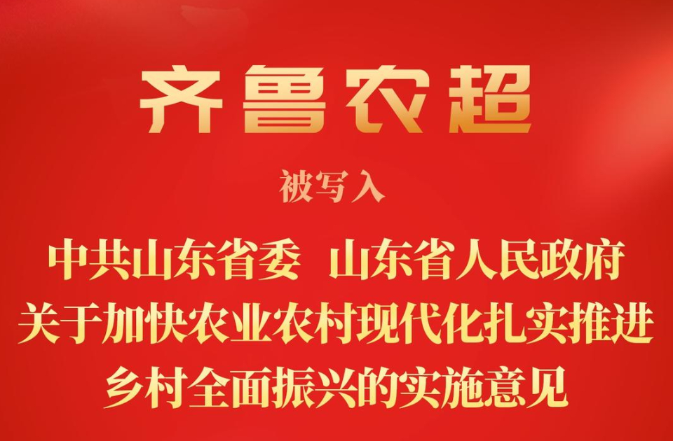 加快推进数字化，“齐鲁农超”被写入2026年山东省委一号文件
