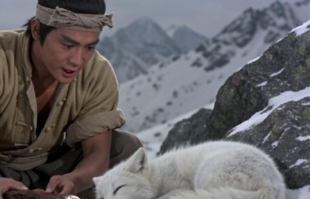 “雪山救狐”掀起全民AI创作狂欢，有何启示？