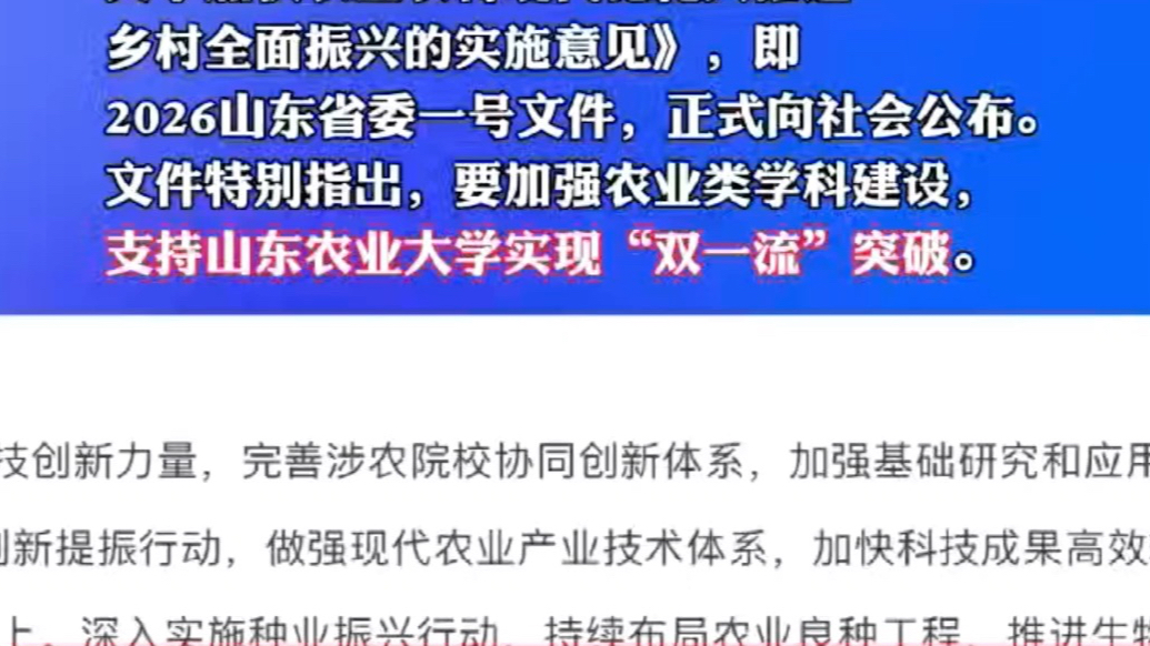2026山东省委一号文件发布！点名支持这所大学冲刺“双一流”