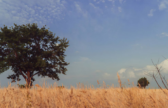 人间|永恒的怀念