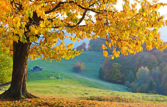 人间|从此处处是思念