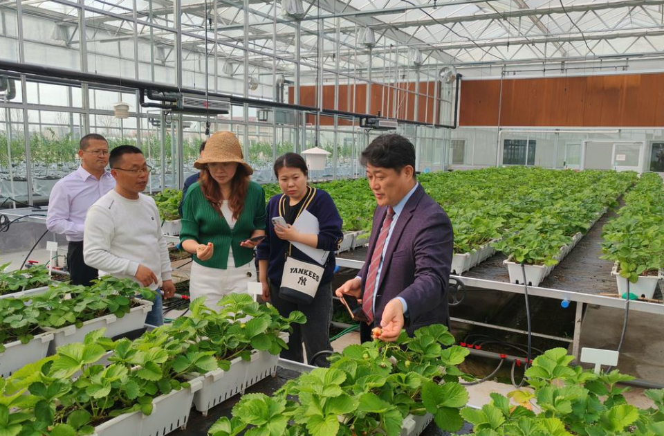 中韩现代农业社群共话合作 东营推动生态农业国际交流