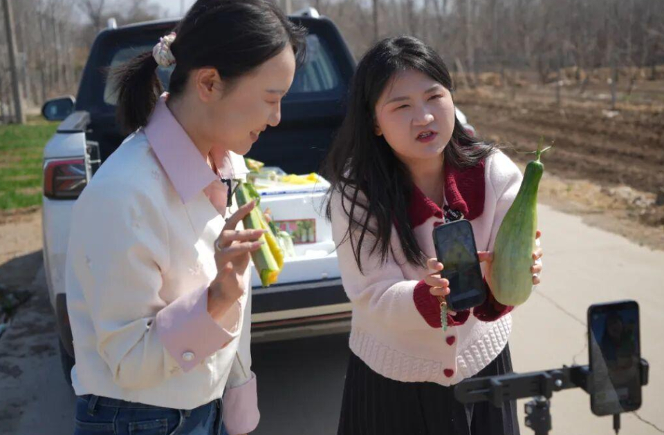 羊角蜜产业观察｜种子、棚子、路子，一个“网红”甜瓜的进阶之路