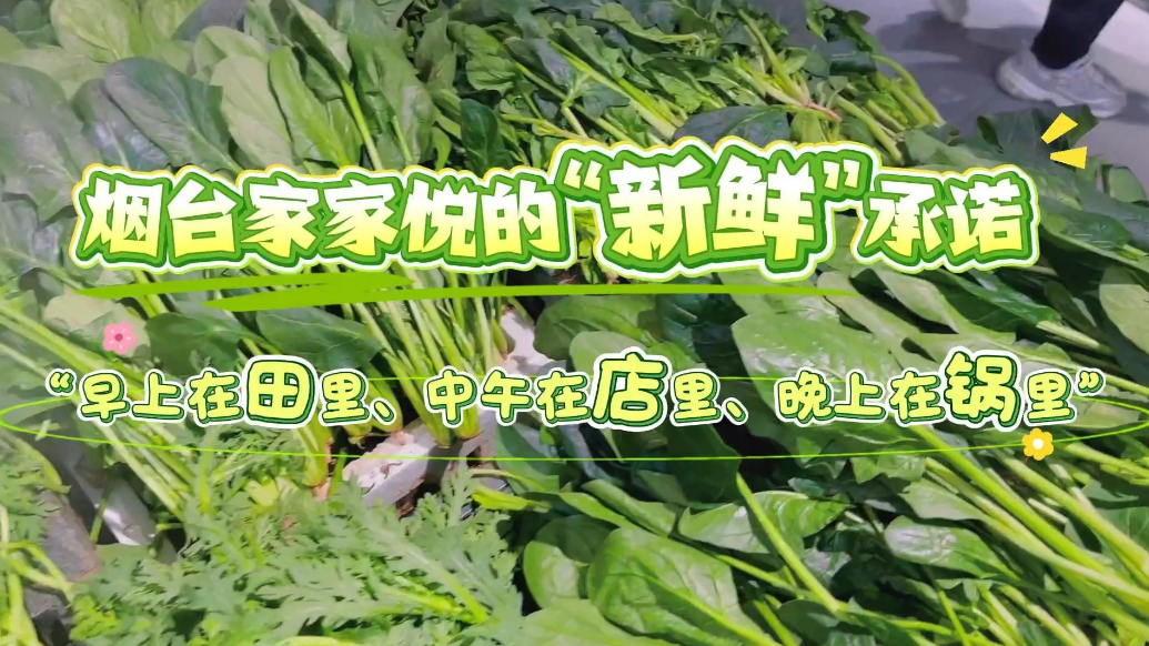 果然视频|6小时“鲜速”直达！解锁烟台家家悦蔬菜新鲜密码