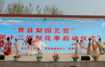 曹县青堌集镇:梨花盛景映新风 电商助农促消费