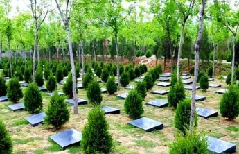 费用“三降”背后是殡葬服务公益属性的坚守