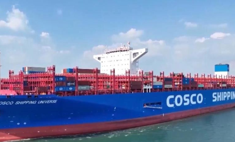 山东港口青岛港一季度新增7条集装箱航线