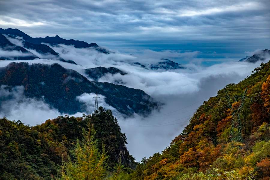 Scientists identify central China as new global biodiversity hotspot