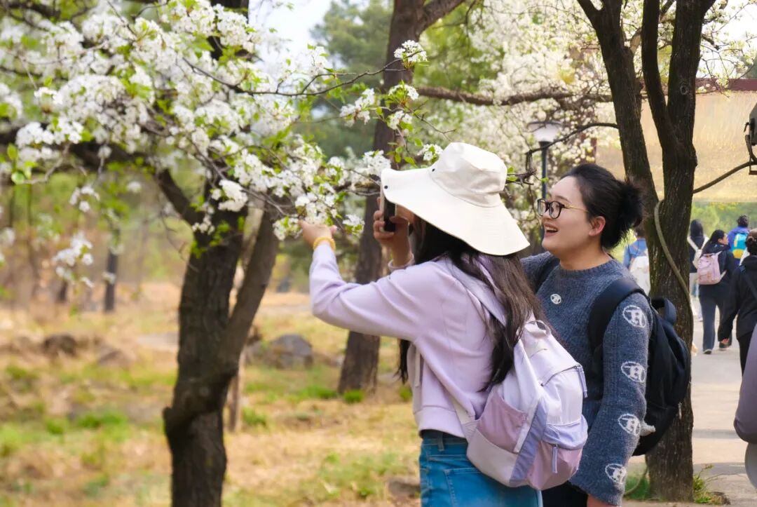 春约雅行，共赴美好！临沂商城实验学校举行教职工踏青赏春活动