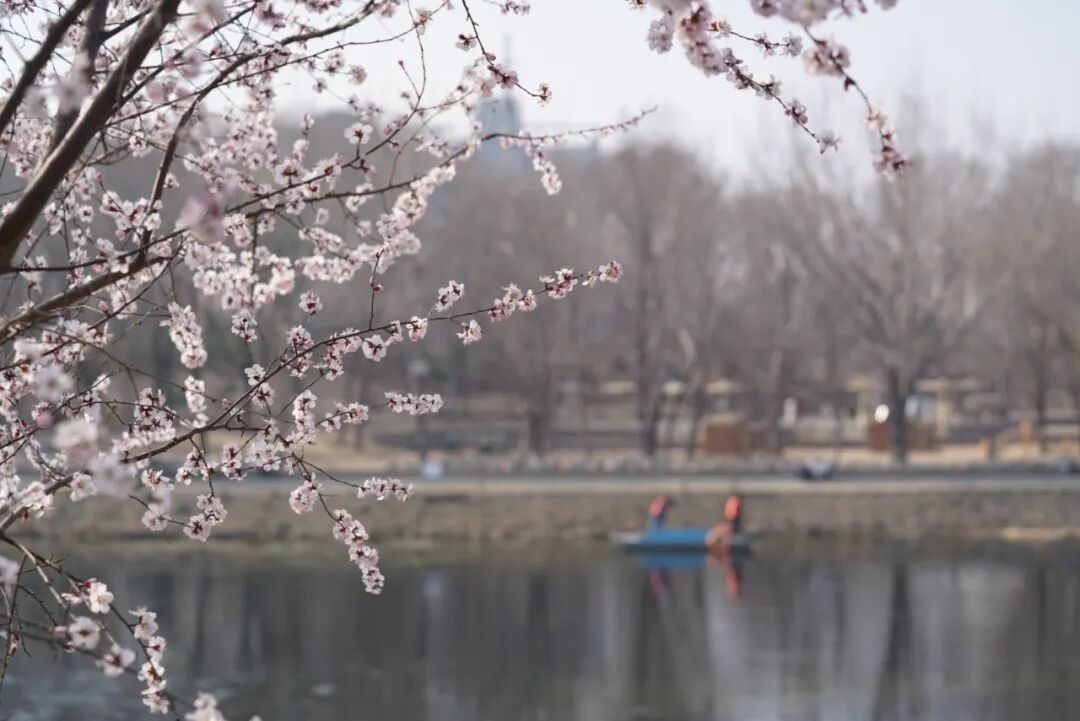 “不休假等于敬业”？你有休假羞耻吗？