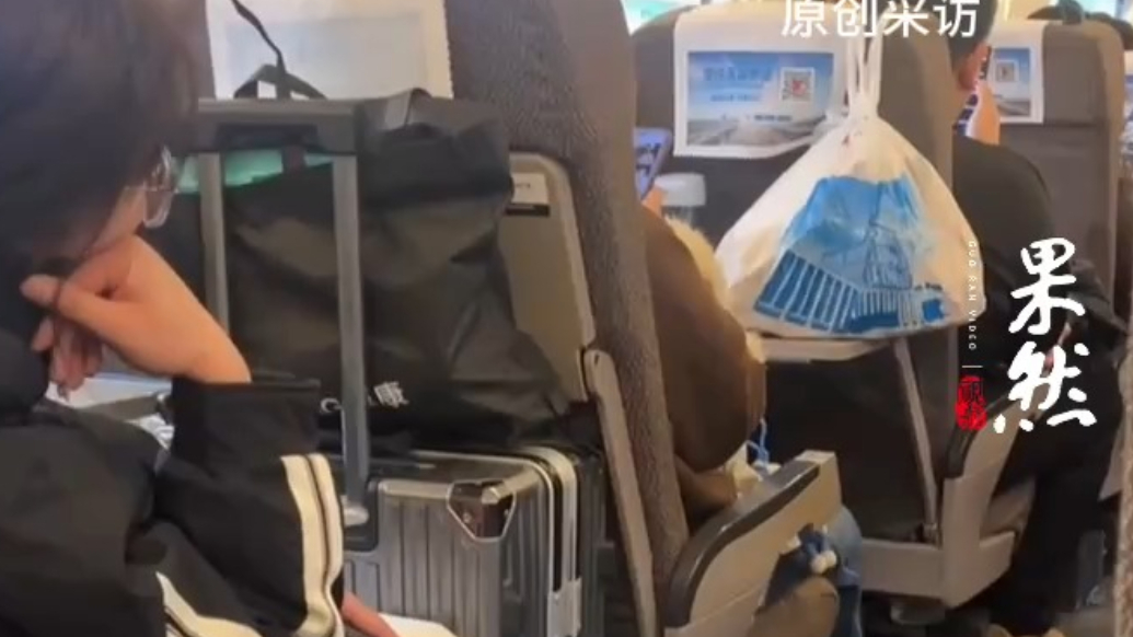 果然视频|高铁座位前能放行李箱吗？前后排乘客因为这个吵起来了，12306回应