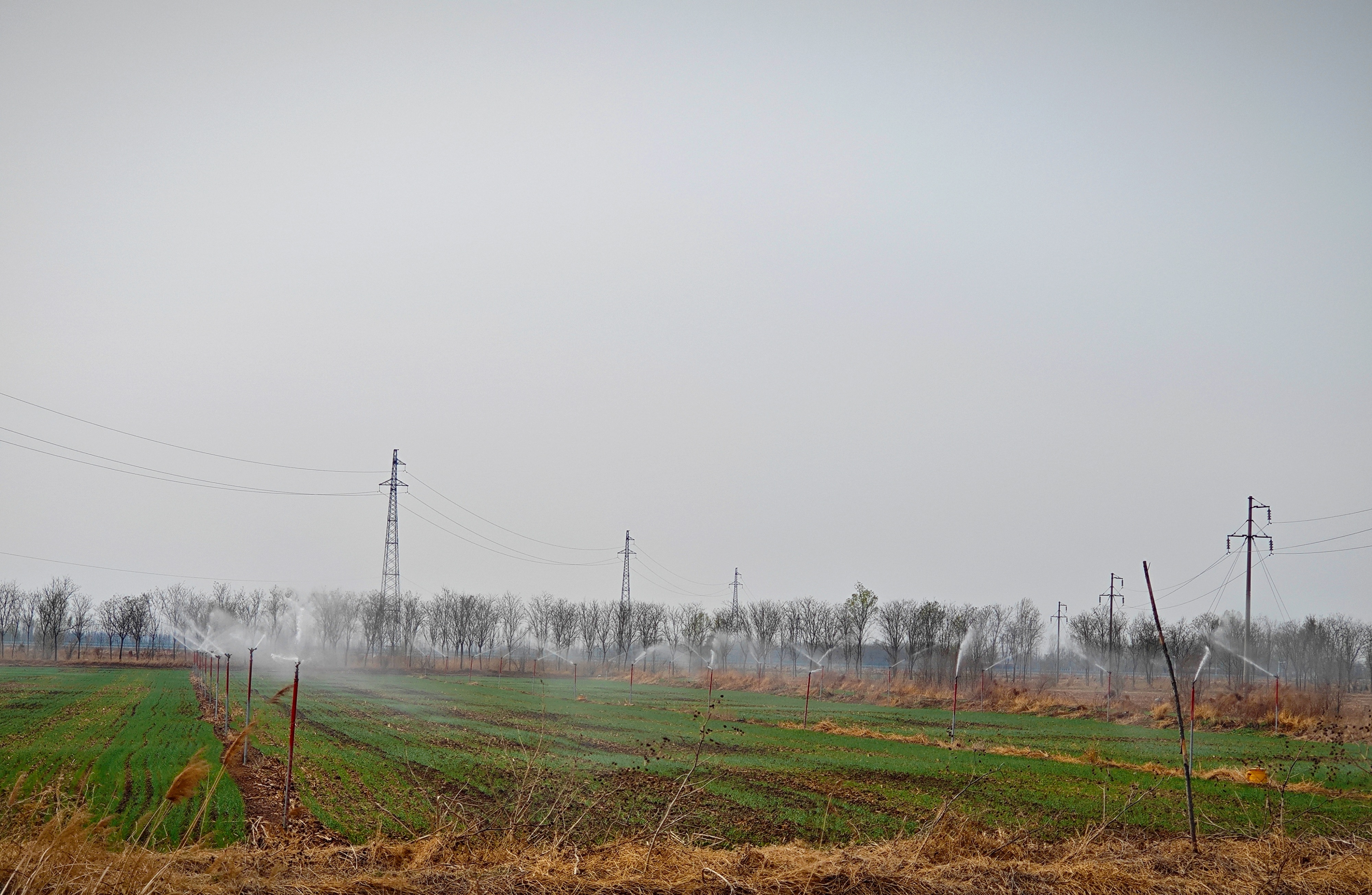 垦利区胜坨镇：农水会战显成效 春灌保收正当时