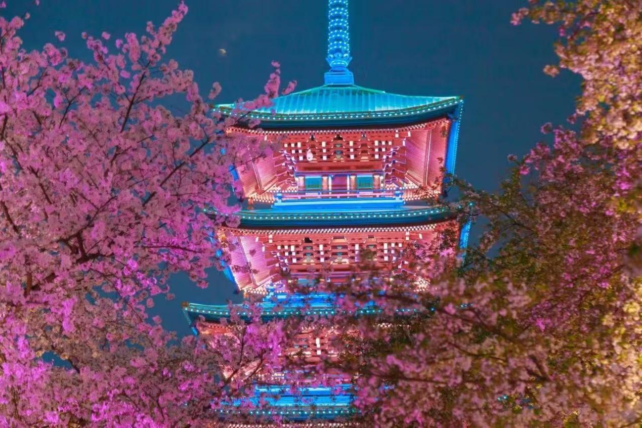 清明假期出行请关注！铁路、公路、民航最新信息汇总