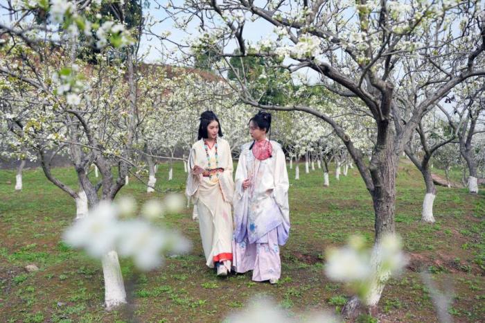 4月1日起实施！文旅新国标将带来哪些改变