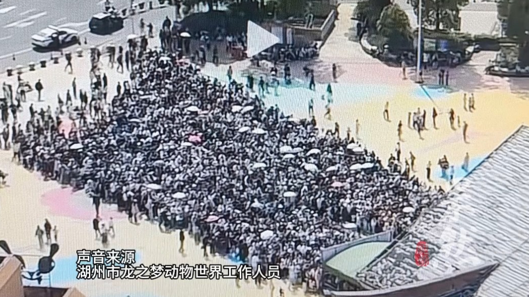 果然视频|排队到中午仍无法进入景区，游客大喊“退票”！湖州龙之梦动物世界回应