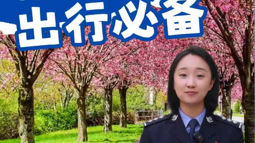 果然视频丨清明假期哪些路段、时段易拥堵？山东交警官方预测来了