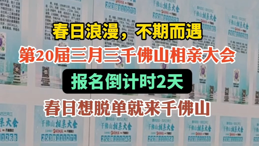 果然视频|春日浪漫，不期而遇！千佛山相亲大会报名倒计时2天