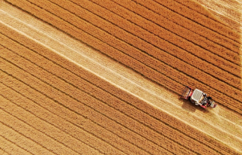 2026年山东小麦中后期管理攻略来了，这些要点农户必看