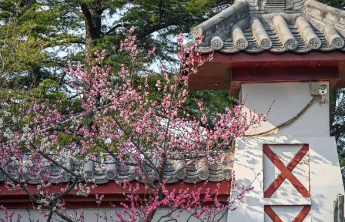 济南市文化和旅游局发布2026年清明节假期安全出行提示