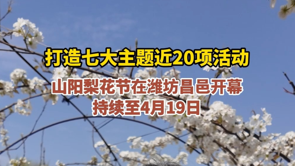 果然视频|第十七届山阳梨花节将持续至4月19日