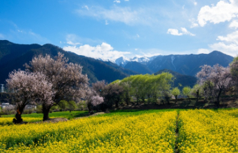@所有人，清明假期天气划重点：南方警惕强对流，北方记得关门窗防浮尘