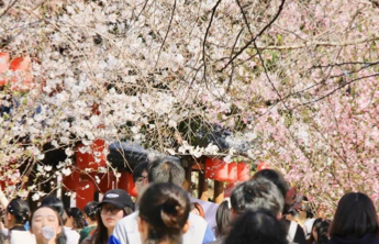 清明假期第一天 全社会跨区域人员流动量预计约2.96亿人次