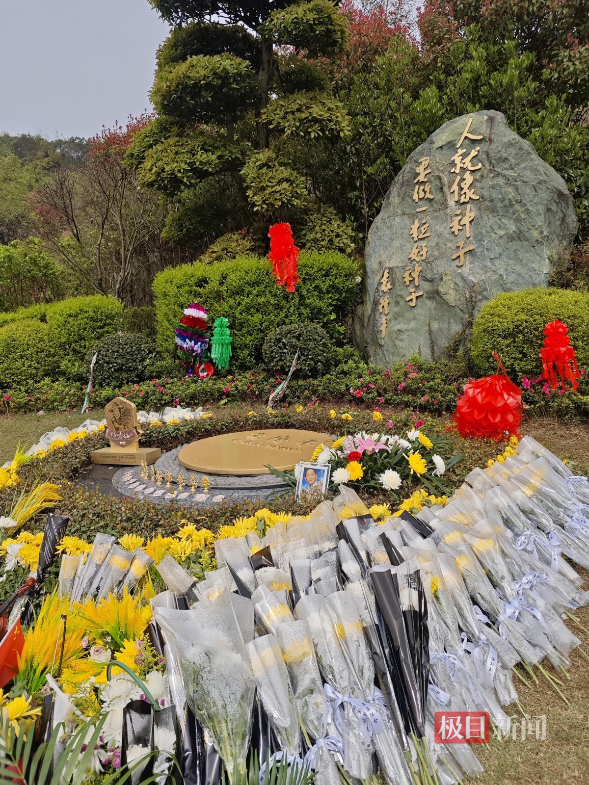 多位家长带孩子到袁隆平墓地祭扫：让孩子热爱科学，珍惜粮食