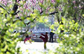 清明节为啥不“属”农历“属”公历？