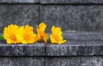 “男子拔苗护祖坟”获刑引关注，律师：维权不可滥用私力救济，应优先民事化解