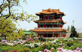 山东清明首日文旅市场火爆，多元活动激发出游热情