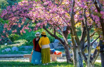 壹点日历4.7|早安！愿这一天的开始，带给你满满的欣喜与好运