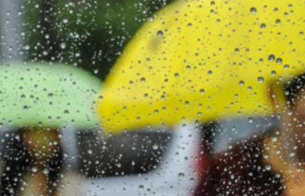 8日下午至9日山东将迎降雨，利于增加土壤墒情