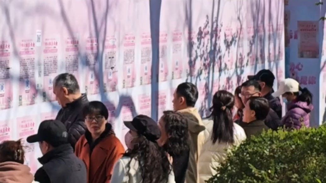 果然视频|缘分在这等你！千佛山相亲大会报名时间仅剩最后2天