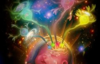 总丢三落四、答非所问？可能思维“生病”了