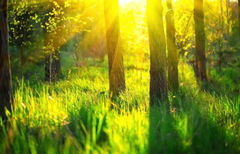 春天失眠的人，白天多做这件事