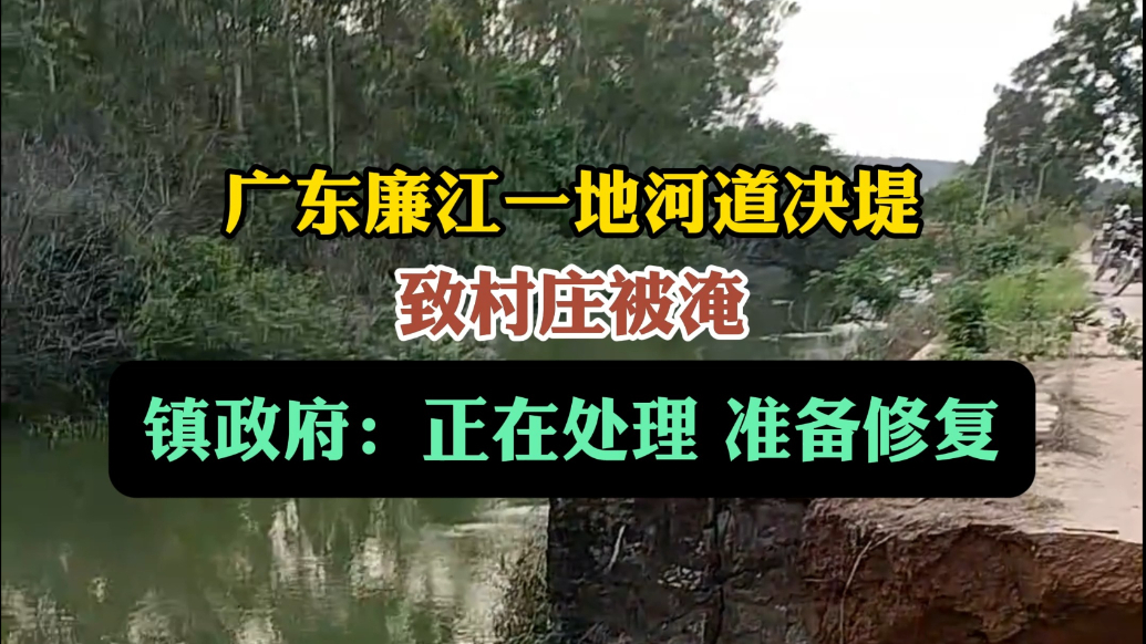 果然视频丨广东廉江一地河道决堤致村庄被淹，当地：正在处理