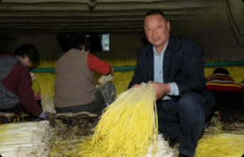 沂源农合果蔬专业合作社宋维刚：兵心向农，振兴乡野新篇